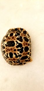 20180531_210515.jpg