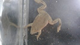 20180204_034403.jpg