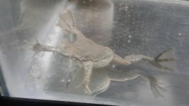 20180204_034436.jpg