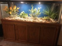 aquarium.jpg
