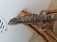 20171019_195858.jpg