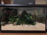enclosures 2.jpg