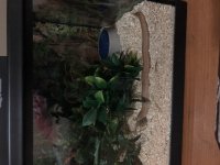 enclosures 3.jpg