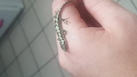 20170608_192236.jpg