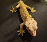 20180204_215307.jpg