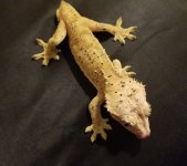 20180204_215335.jpg