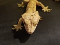 20180204_215359.jpg