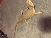 9F7784BB-8A21-49A7-80A9-CF161D30FFE7.jpg