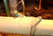 DSC_0231.jpg