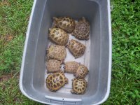 10 in tub.jpg