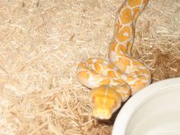 Animals 069.jpg