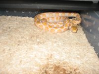 Animals 072.jpg