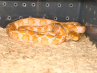Animals 080.jpg