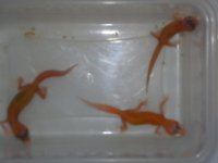 DSC03856.jpg