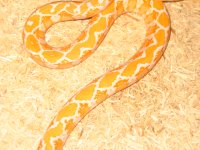 Animals 081.jpg