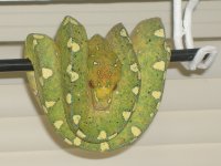 DSC03409.JPG