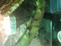 20180505_091329.jpeg