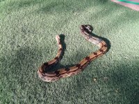 20180518_075032.jpg