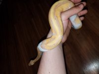 20180423_065833.jpg