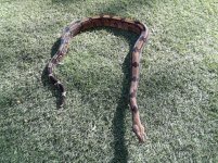 20180518_075239.jpg