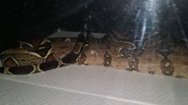 20180301_182127.jpg