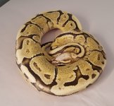 20180205_145248.jpg