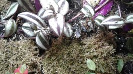 20170930_161416.jpg