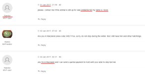 Untitled-1 copy.jpg