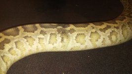 20180114_144518.jpg