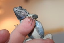 IMG_4833.jpg