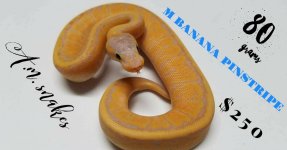 banana pin.jpg