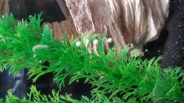 20171130_194806.jpg