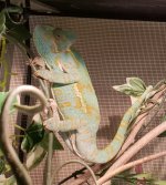 20180430_084410.jpg