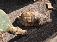 IMG_5061.jpg