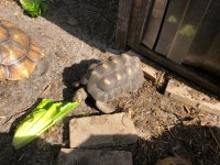 IMG_5065.jpg