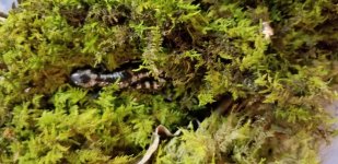 20180517_124938.jpg