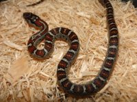 057.JPG