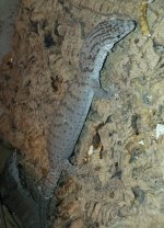 20171220_185430.jpg