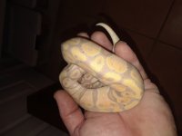 20180219_205455.jpg