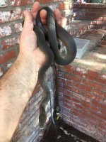 rsz_img_0339.jpg