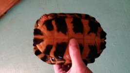 20171114_143046.jpg