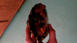 20171114_143101.jpg