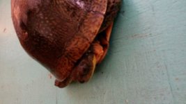 20171114_143252.jpg