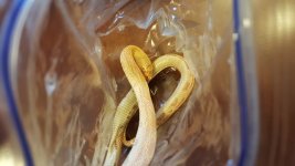 20171102_174150[1].jpg