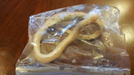 20171102_174127[1].jpg