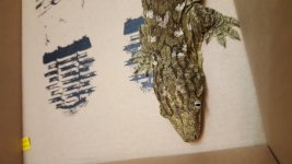 20170811_214239.jpg