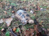 20171009_113745.jpg