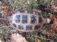 20171009_113753.jpg