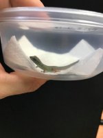q.jpg