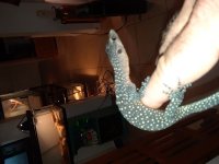 20180602_185342.jpg